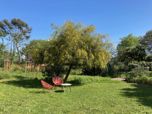 Un Jardin Dans La Ville La Ciotat Bagian luar foto
